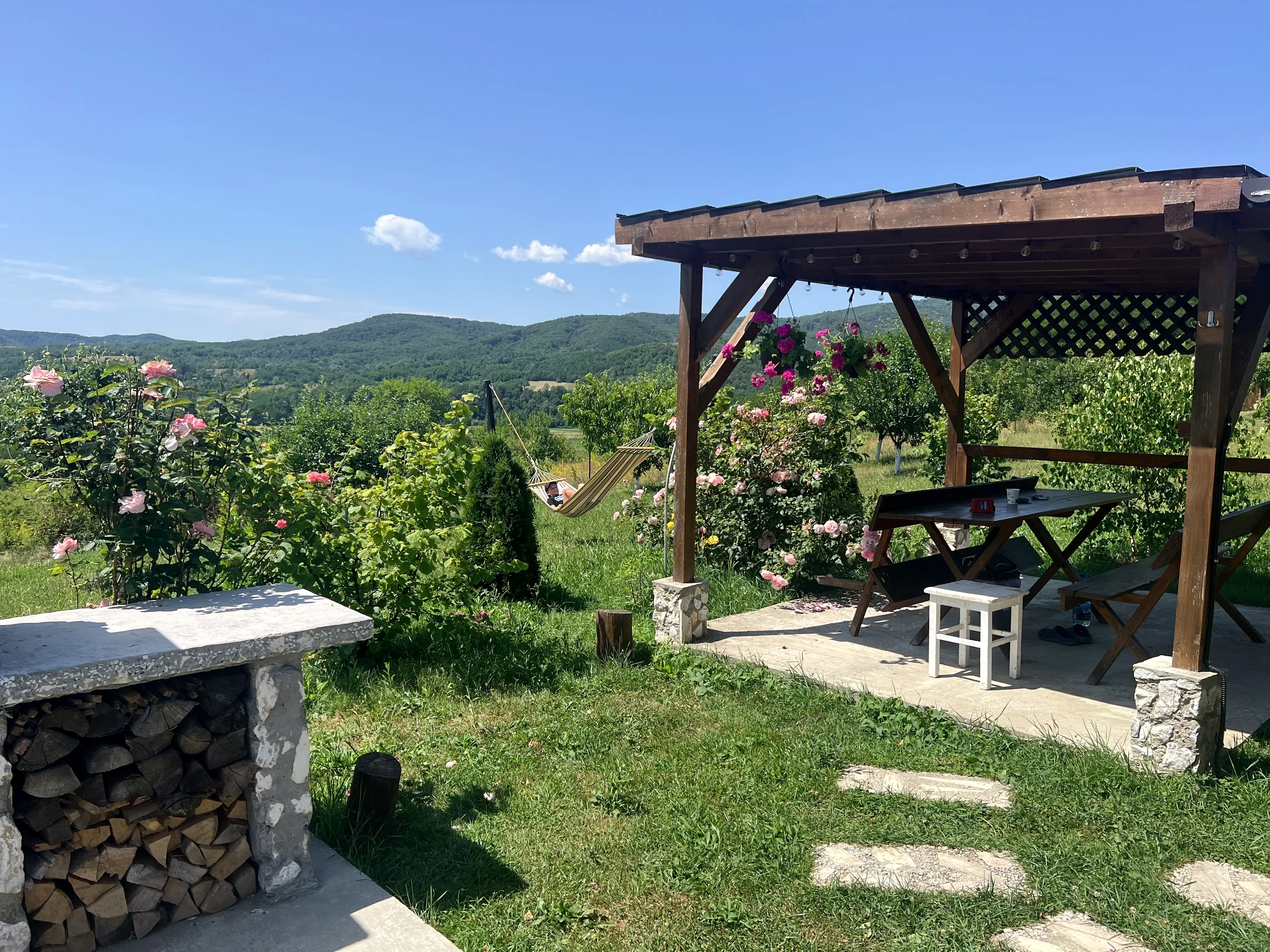 Pergola, roses and the view to the Apuseni ridge