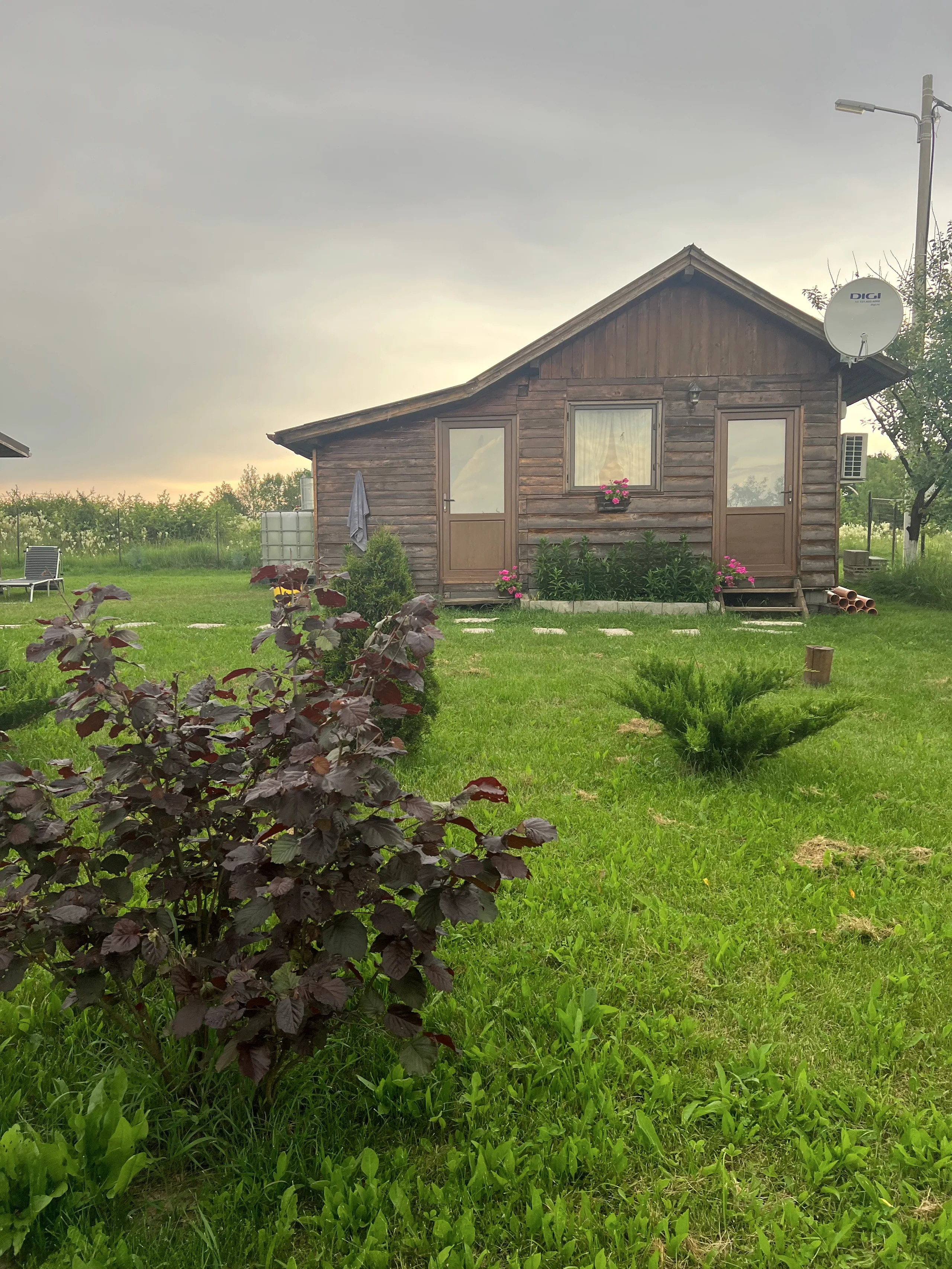 The cabin at blue hour, lamp inside, mist outside