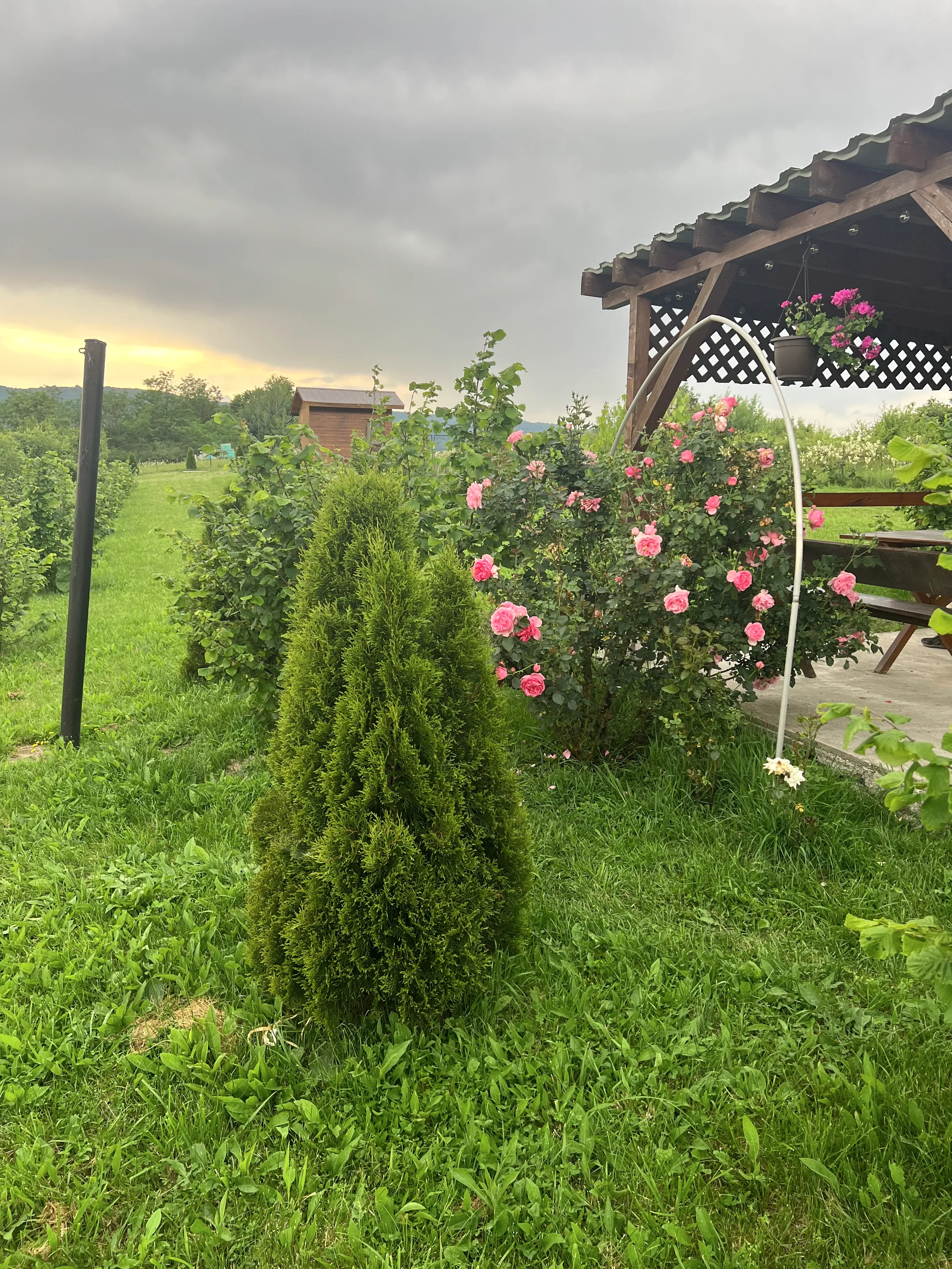 Pergola on an overcast afternoon, moody light