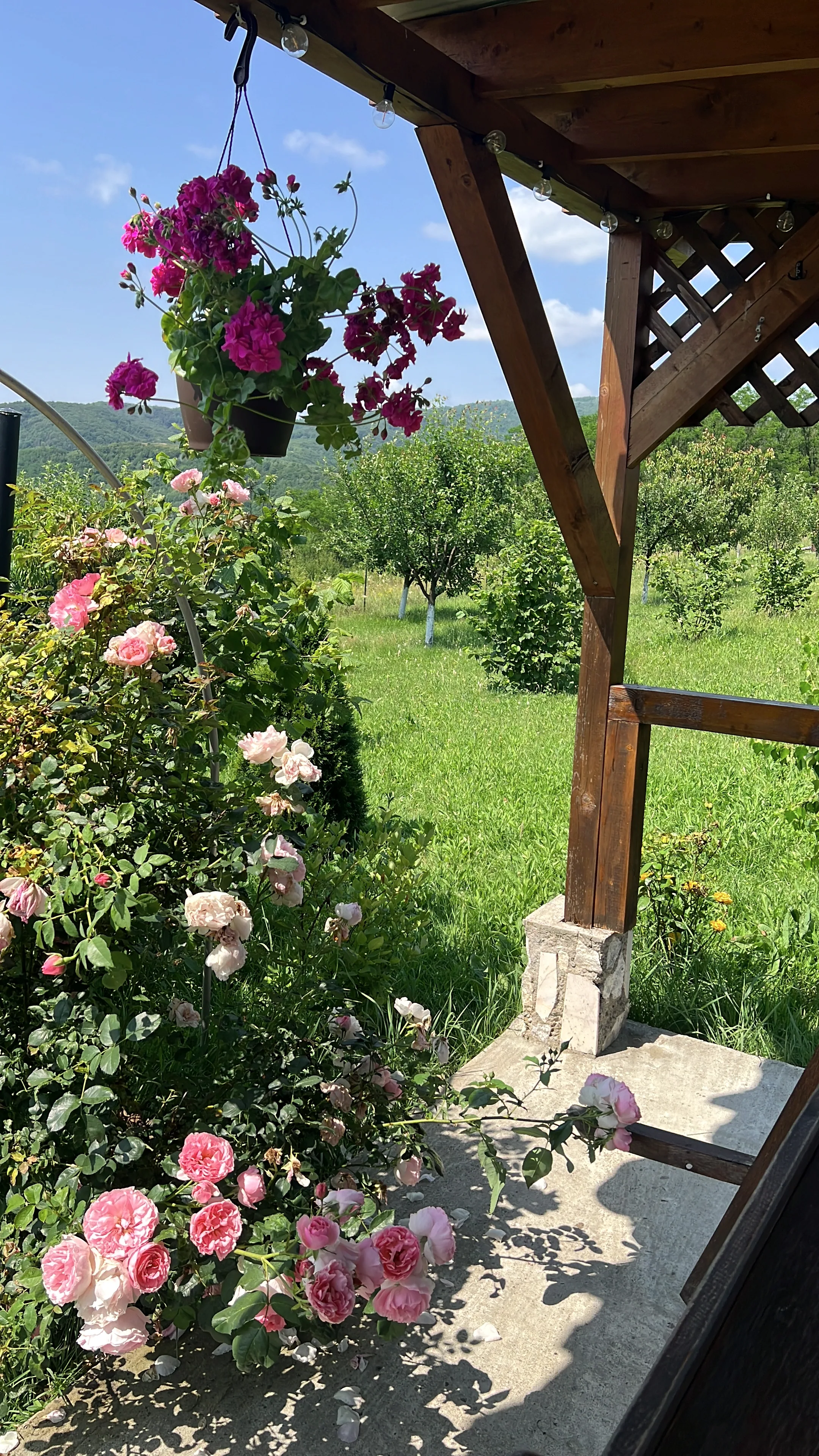Pergola corner with flowers